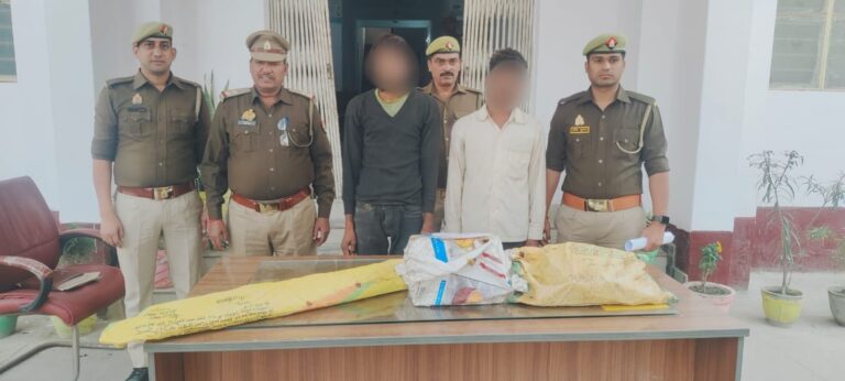 WhatsApp Image 2025-12-01 at 17.09.06