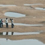 WhatsApp Image 2025-12-02 at 17.52.35