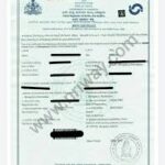 WhatsApp Image 2026-01-21 at 10.12.37 AM