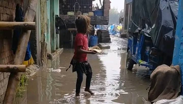 WhatsApp Image 2026-01-29 at 8.55.39 PM