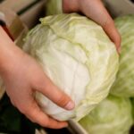 cabbage-vegetable_fcb3e09cb77b5dca4eef80374ada76bd