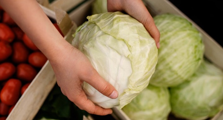 cabbage-vegetable_fcb3e09cb77b5dca4eef80374ada76bd