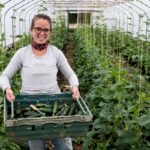 Step-by-Step-Guide-to-Cucumber-Farming6