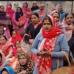 WhatsApp Image 2026-01-31 at 8.25.10 PM