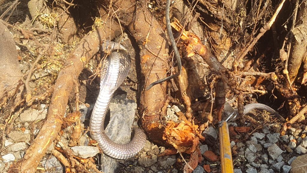 WhatsApp Image 2026-03-06 at 12.11.16 PM (1)