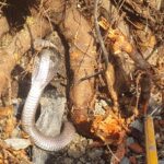 WhatsApp Image 2026-03-06 at 12.11.16 PM (1)